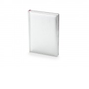 Ежедневник недатированный А5 Sidney Nebraska, серебристый (серебряный обрез)