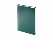 Ежедневник недатированный А5 Ideal New, зеленый