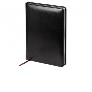 Ежедневник недатированный А5 Sidney Nebraska, черный (серебряный обрез)