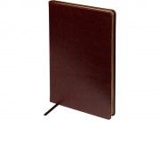 Ежедневник недатированный А5 Megapolis Nebraska, коричневый с золотым обрезом