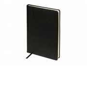 Ежедневник недатированный А5 Classic, черный