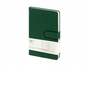 Ежедневник недатированный А5 Status, зеленый