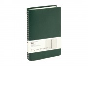 Ежедневник недатированный А5 Alba, зеленый