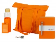 Welcome pack Color Refine, оранжевый