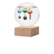 Термометр Galileo