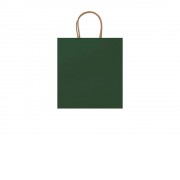 Пакет бумажный HAYA, папоротник