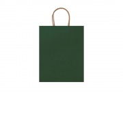 Бумажный пакет ARCE 110 г/м2, папоротник