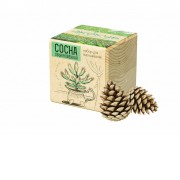 Набор для выращивания Экокуб Classic Сосна обыкновенная