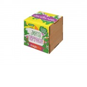 Набор для выращивания Экокуб Magicme Мята