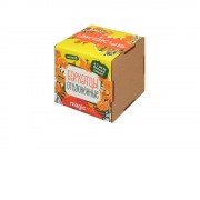 Набор для выращивания Экокуб Magicme Бархатцы