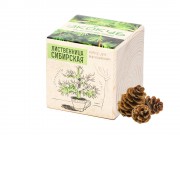 Набор для выращивания Экокуб Classic Лиственница Сибирская