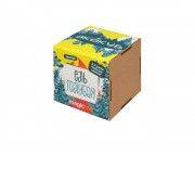 Набор для выращивания Экокуб Magicme Ель Голубая