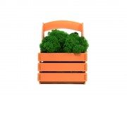 Композиция Корзинка со мхом, оранжевый