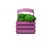 Композиция Корзинка со мхом, фиолетовый