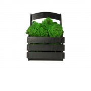 Композиция Корзинка со мхом, черный