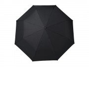 Складной зонт Hamilton Black