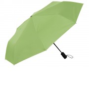Зонт-автомат Dual с двухцветным куполом, зеленое яблоко/черный