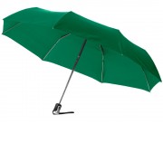 Зонт Alex трехсекционный автоматический 21,5, зеленый