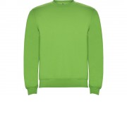 Свитшот с начесом Clasica детский, зеленое яблоко