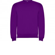 Свитшот с начесом Clasica детский, фиолетовый