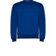 Свитшот с начесом Clasica детский, королевский синий