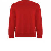 Свитшот Batian, красный