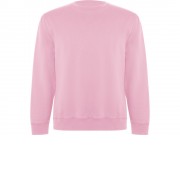 Свитшот Batian, светло-розовый