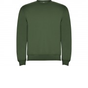 Свитшот с начесом Clasica унисекс, хаки