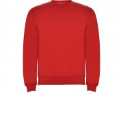 Свитшот с начесом Clasica детский, красный