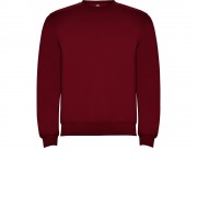 Свитшот с начесом Clasica детский, гранатовый