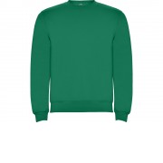 Свитшот с начесом Clasica детский, зеленый