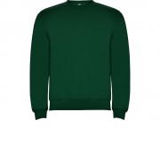 Свитшот с начесом Clasica унисекс, бутылочный зеленый