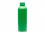 Термобутылка MAGUN из нержавеющей стали 304, папоротник