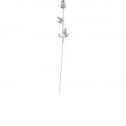 Роза с серебряным бутоном