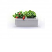 Компактный смарт-сад iGarden