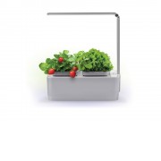Компактный смарт-сад iGarden LED с подсветкой