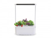 Компактный смарт-сад iGarden PRO с подсветкой