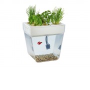 Набор для выращивания растений и ухода за рыбкой Акваферма