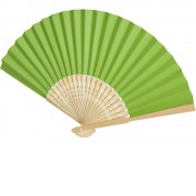 Carmen веер - Зеленый