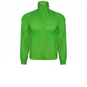 Ветровка Kentucky мужская, лаймовый