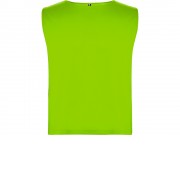 Спортивная безрукавка Ajax, неоновый зеленый