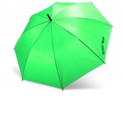Зонт трость MILFORD, полуавтомат, папоротник