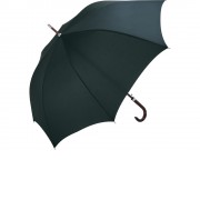 Зонт-трость 7350 Dandy, черный