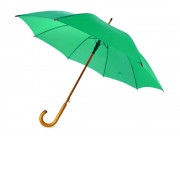 Зонт-трость Яркость, зеленое яблоко